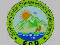 ecd logo